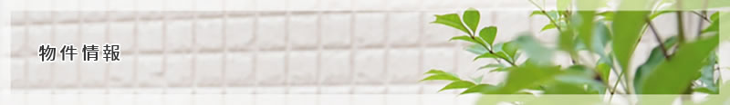 物件情報